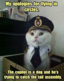 Captain Kitten – Flying in circles